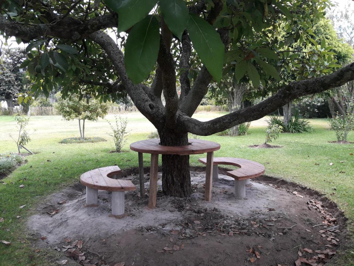 Готель Quinta La Gardenia Puembo Екстер'єр фото